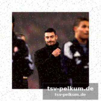 Lewelings tor zu spät für stuttgart