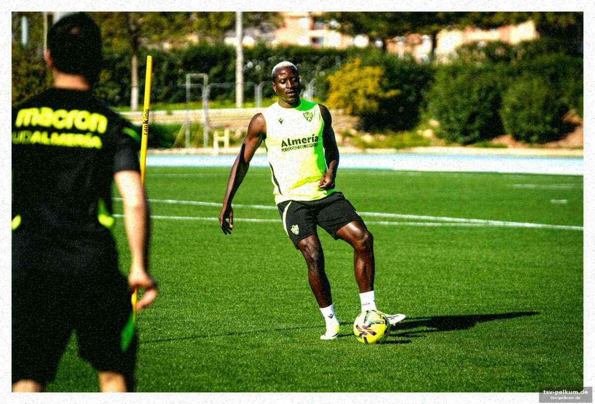 Guedes