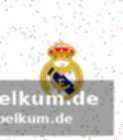 Die kernpunkte der vereinbarung