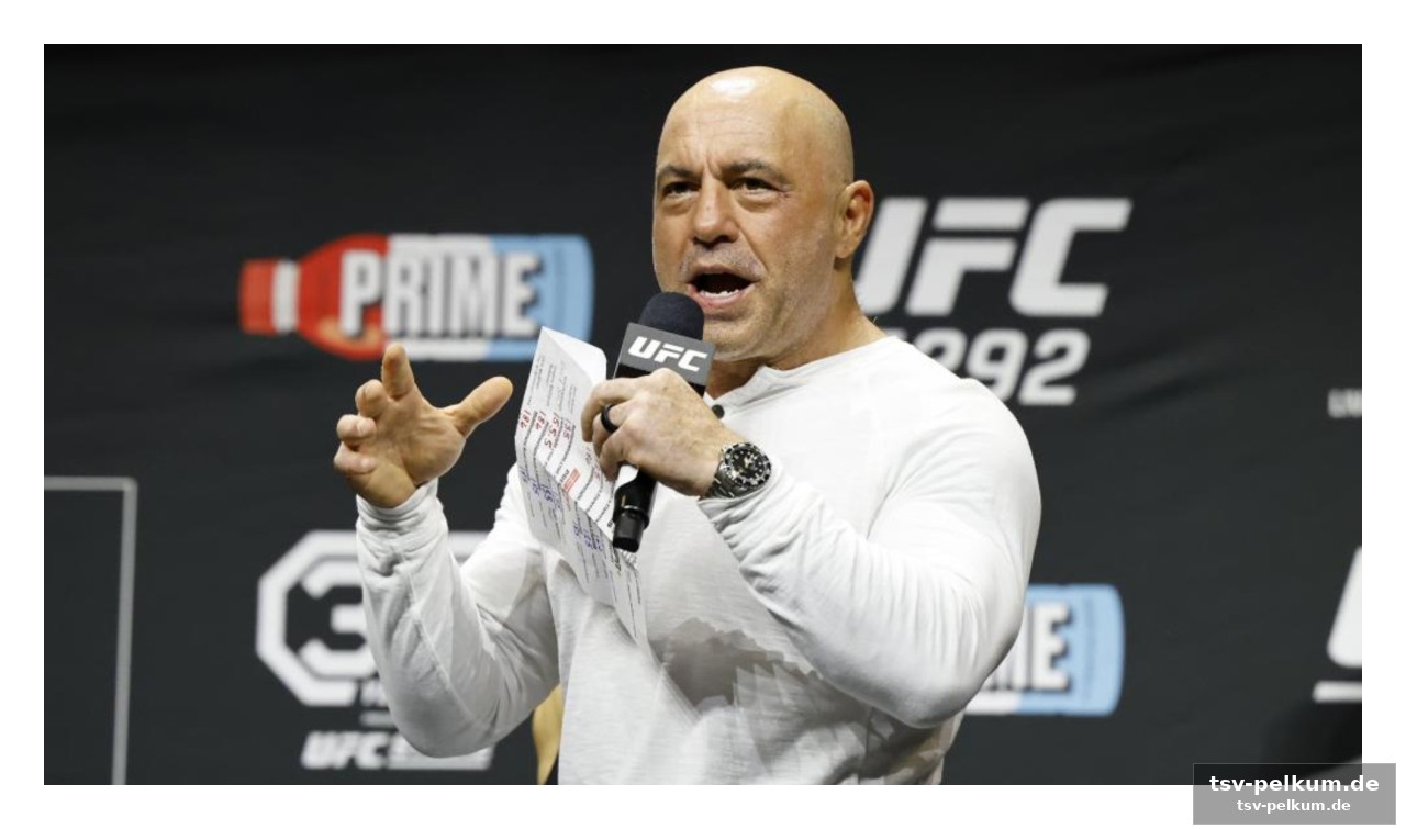Mehr als nur mma: eine politische und kulturelle großveranstaltung