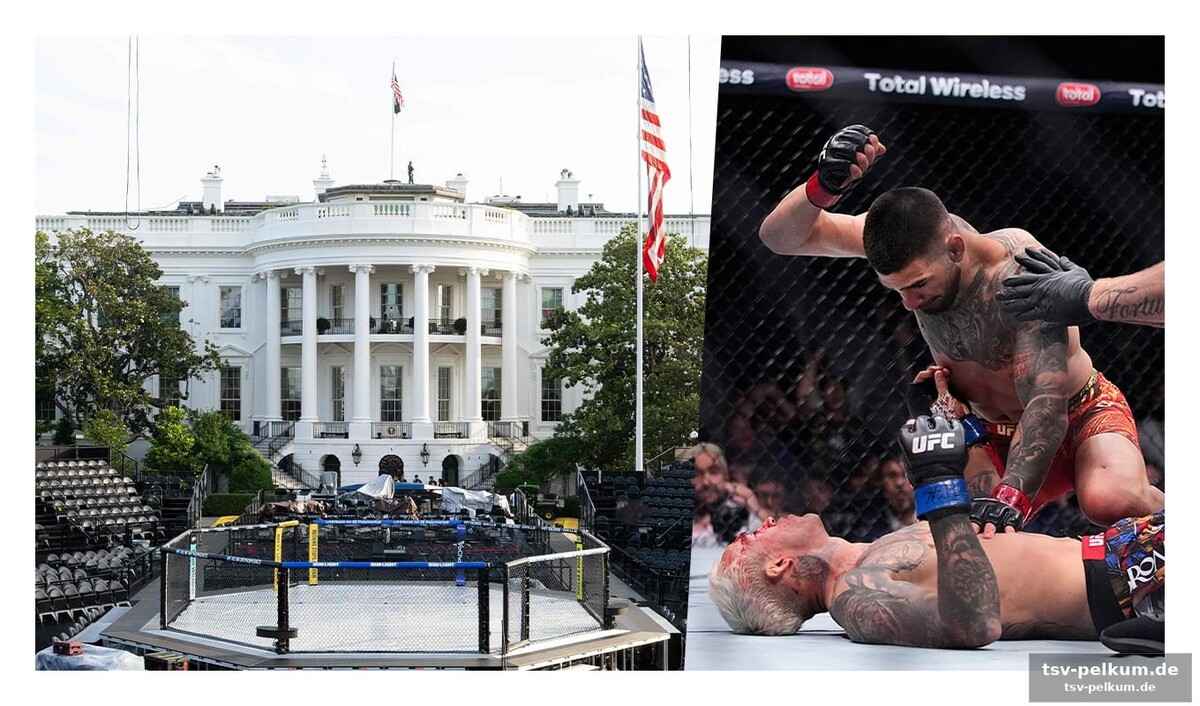 Topuria gegen gaethje: der kampf der schwergewichte steht im fokus