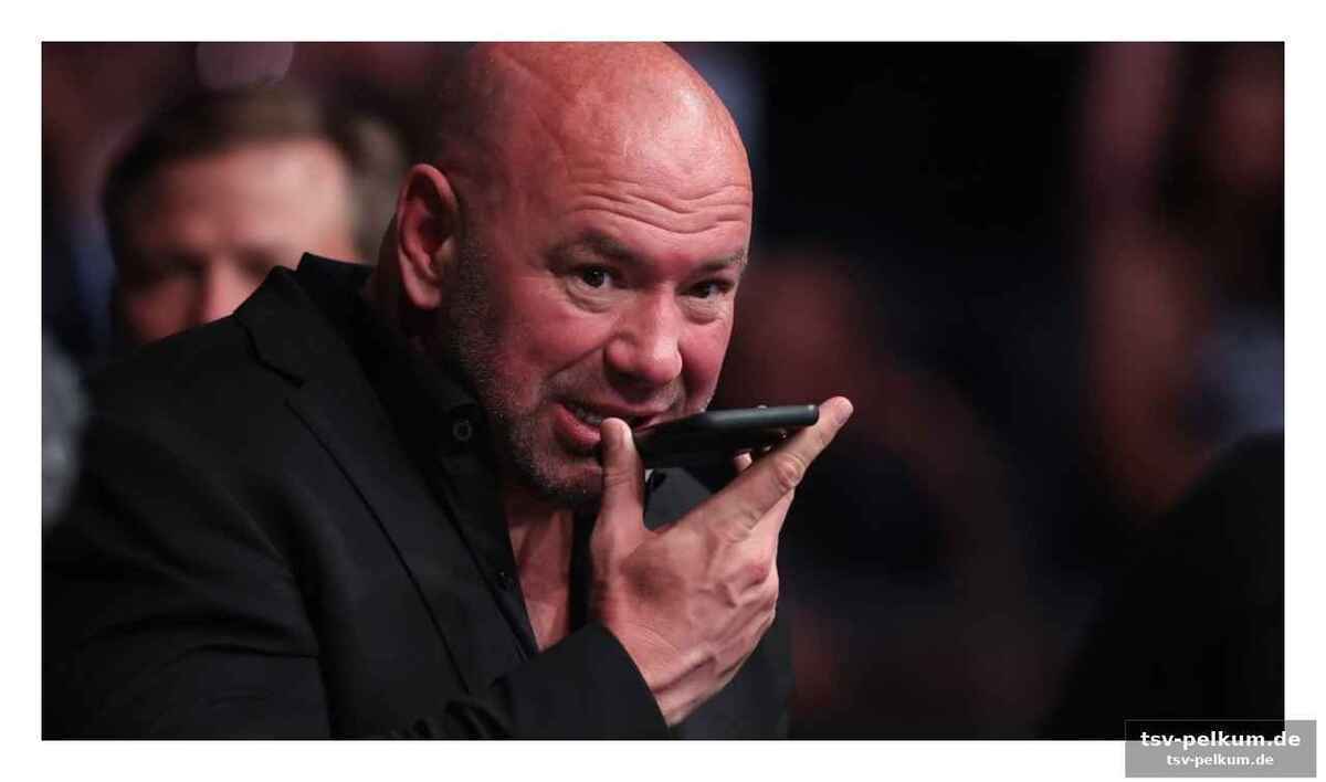 Sicherheitsbedenken vor dem ufc-event im weißen haus