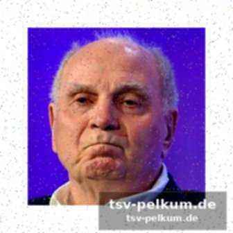 Lob für den berater von luis diaz
