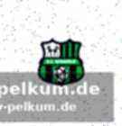 Sassuolo sichert sich vielseitigen spieler