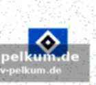 Zweite strittige szene: elfmeter für union