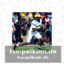 Demond williams jr. bleibt bei den huskies