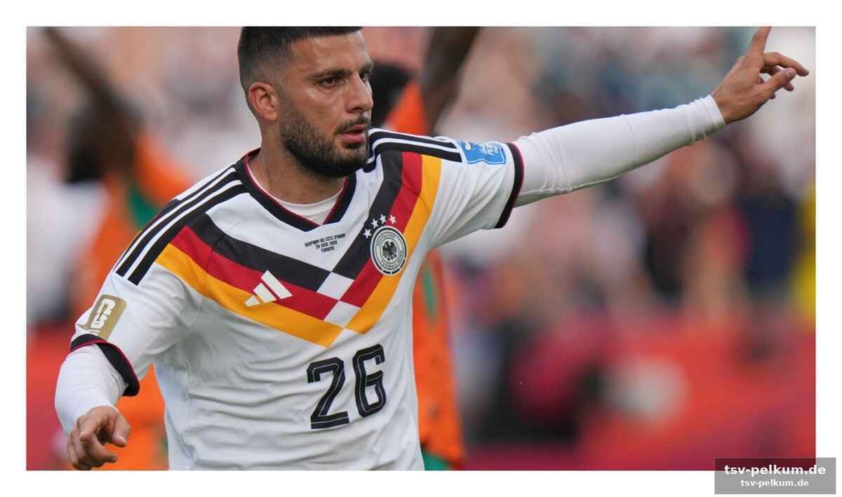 Der aufstieg des 