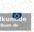 Kohr umstritten, ausgleich durch den hsv