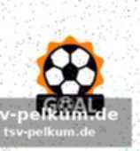 Herausragende leistungen der torhüter