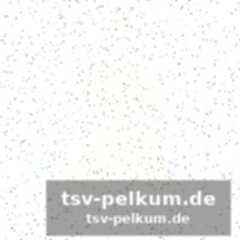 Frühe führung für empoli durch shpendi