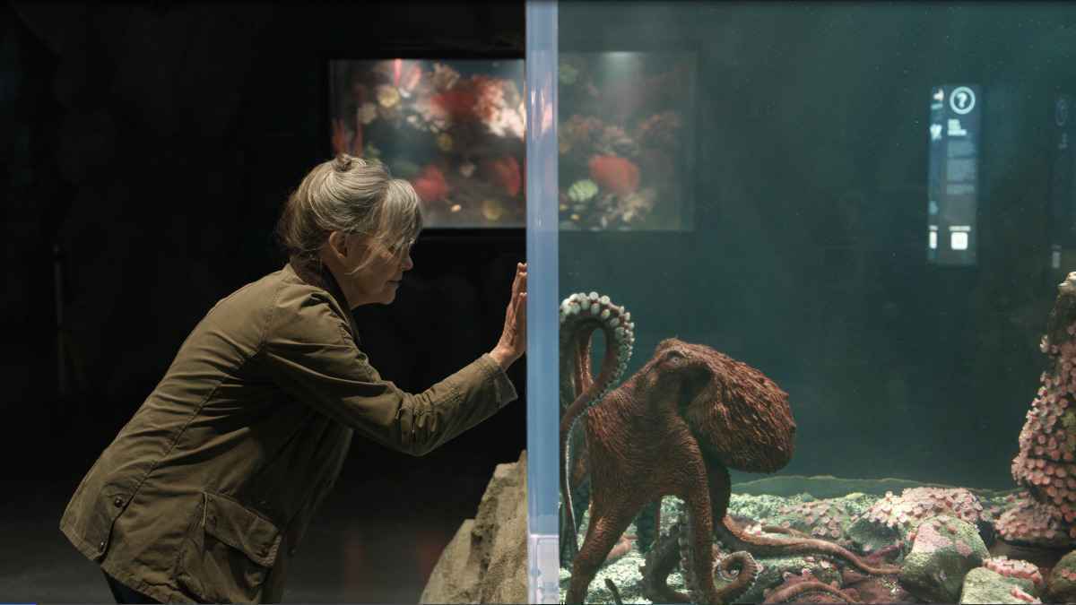 Unerwartete freundschaft im aquarium: eine alte dame und ein intelligenter oktopus überraschen