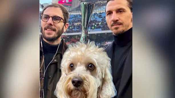 Ungewöhnlicher fackelläufer: italienischer hund chico begeistert das land