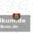 Persönliche bestleistung für khedira