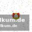 Persönliche bestleistung für khedira