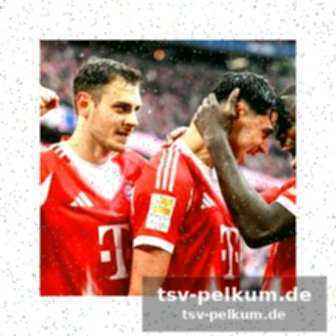 Stimmen zum spiel