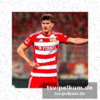 Trainerstimmen vor dem spiel