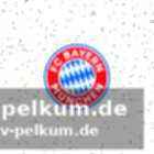 Interesse ausländischer topklubs