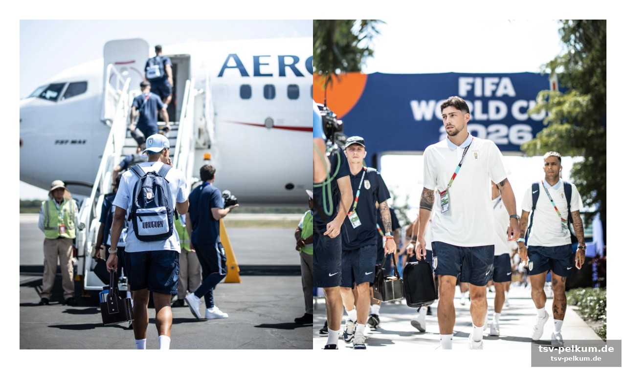 Ein team im alleingang: die ungewöhnliche reise der 