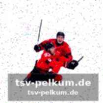 Kanada ebenfalls im halbfinale