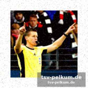 Die zukunft: der "field assistant referee"