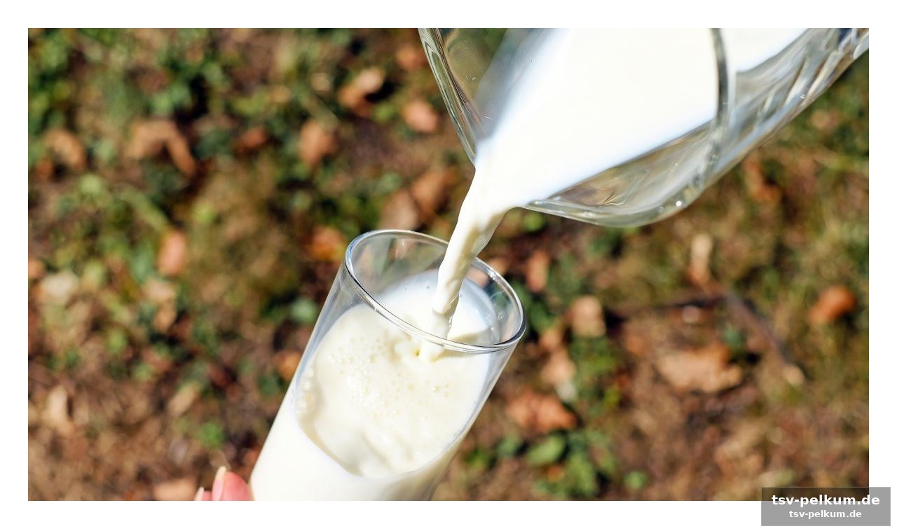 Der proteinkick, den pflanzenmilch oft vermissen lässt