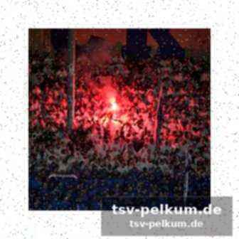 Erwartungen an die endrunde