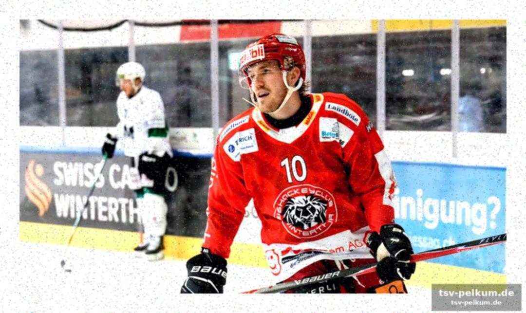 Emil molin: schwedischer stürmer überzeugt in der swiss league