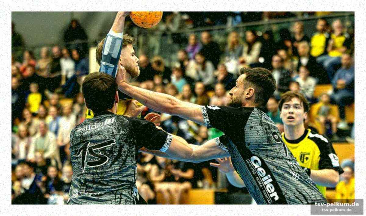 Nord-west: emsdetten dominiert, hamm schiebt sich vor