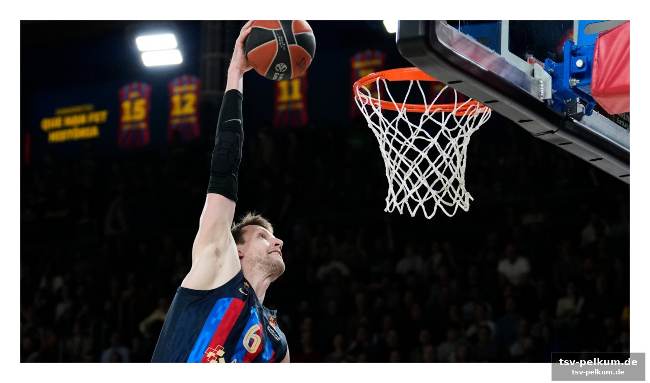 Die zukunft des fc barcelona ohne vesely