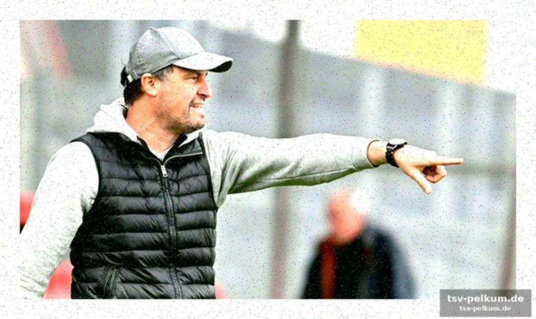 Dominik haußner: erfahrung und kompetenz für den vfb