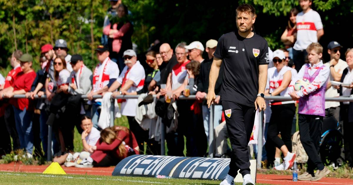 Der weg nach oben: von der oberliga zur elite