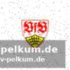 Chabot zum strittigen treffer von demirovic