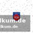 Zusammenfassung und ausblick