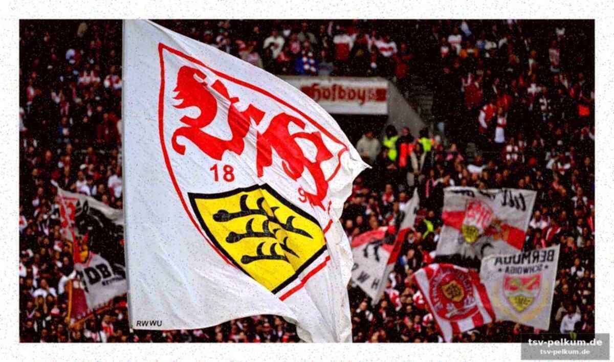 Der vfb fordert ein gegengewicht zur politik
