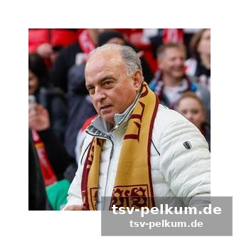 Die entscheidende frage: kann der vfb in der champions league mithalten?