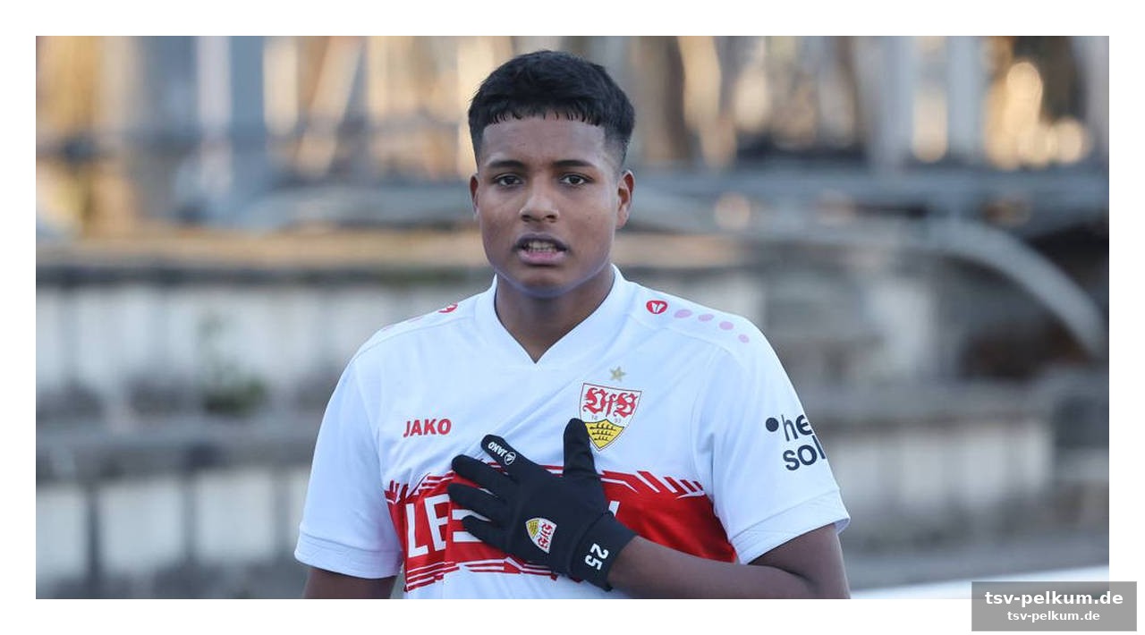 Die offensive des vfb – ein luxusproblem