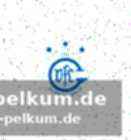 Internationale erfahrung im vfl-kader