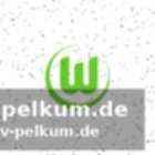 Neue gesichter im kader