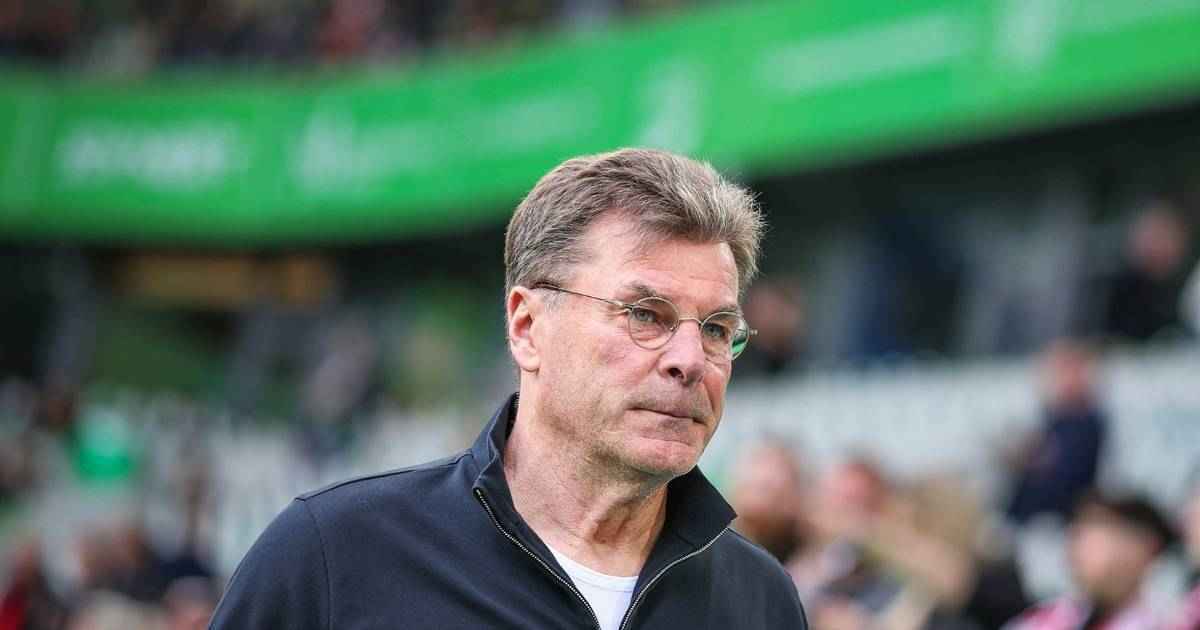 Vfl wolfsburg vor relegations-hölle: paderborn-erfahrung als rettungsanker?