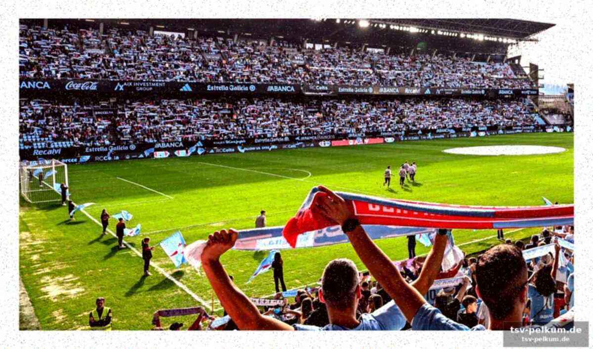 Celta will mitwachsen – und mitverdienen