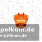 Starke leistungen bei der weltmeisterschaft