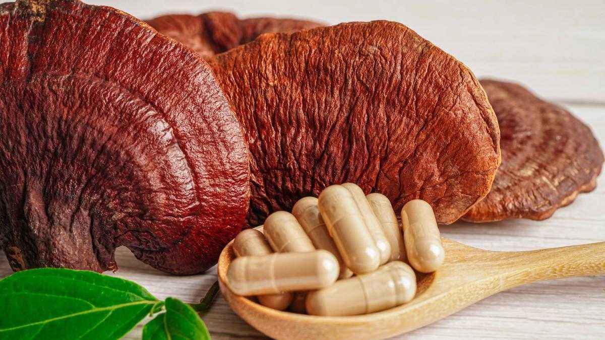 Vitalität aus dem wald: können heilpilze wirklich helfen?