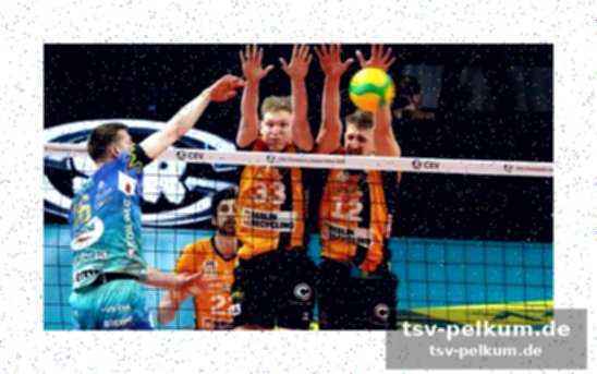 Weiter im cev-cup für die berliner