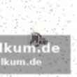 Die generation der erfolge: knorr, bjerre und hagen