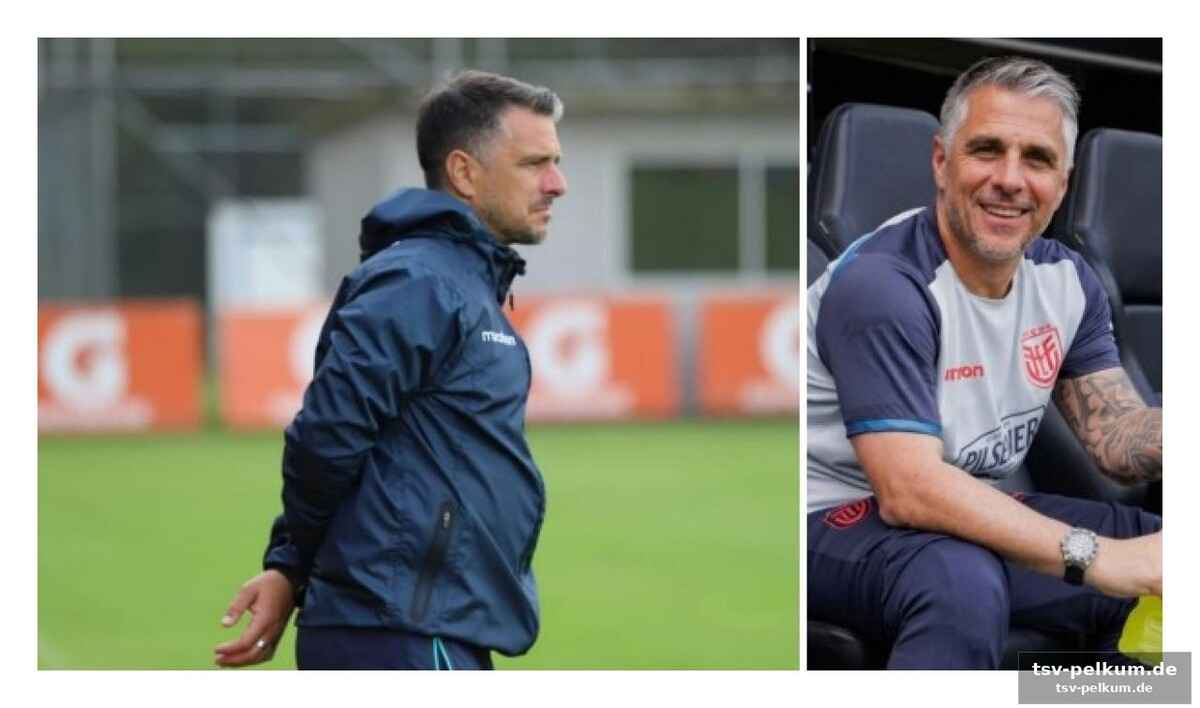 Die verbindung zu cambiasso: ein freund fürs leben