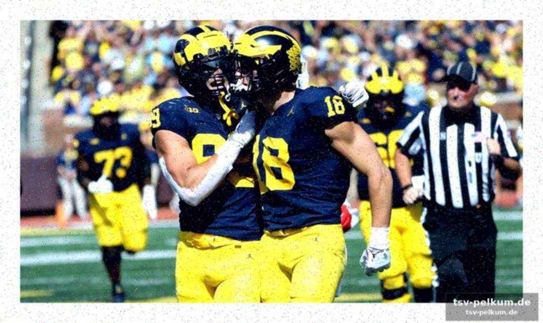 Michigan als sprungbrett für nfl-karrieren