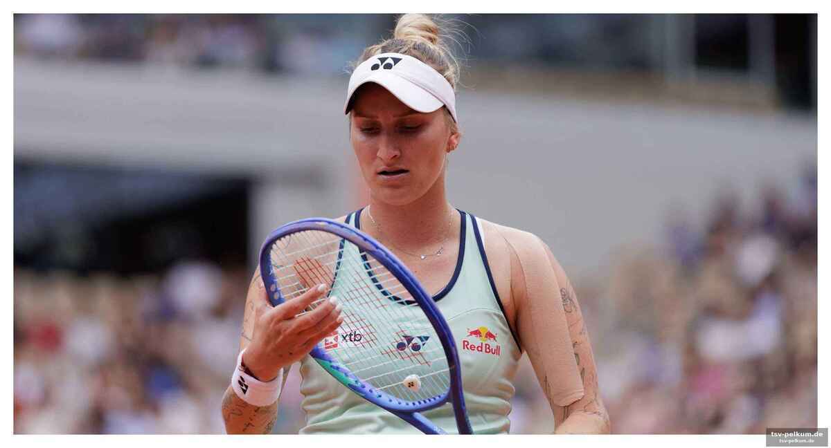 Anwalt verteidigt vondrousova: standards wurden nicht eingehalten