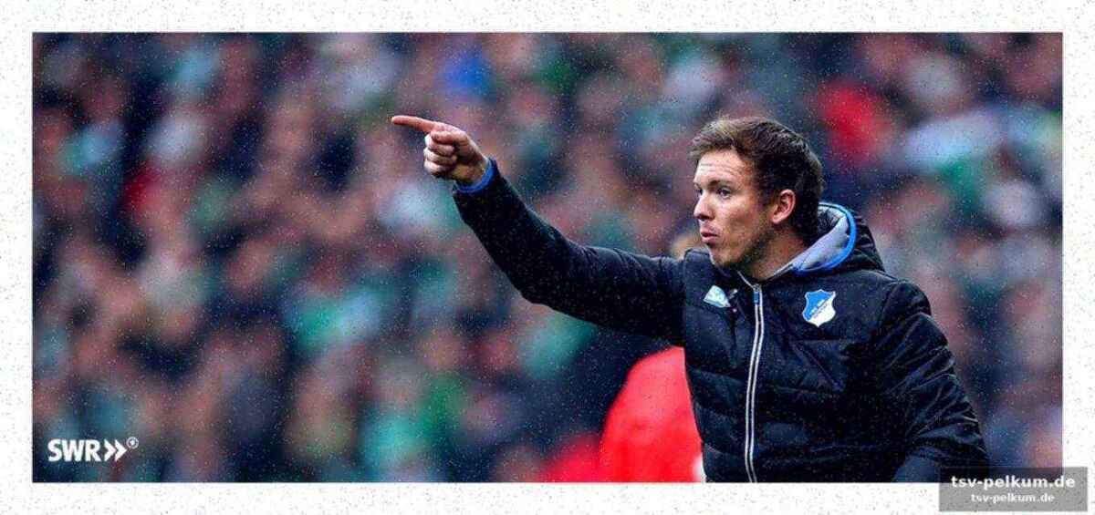 Die erfolge in hoffenheim