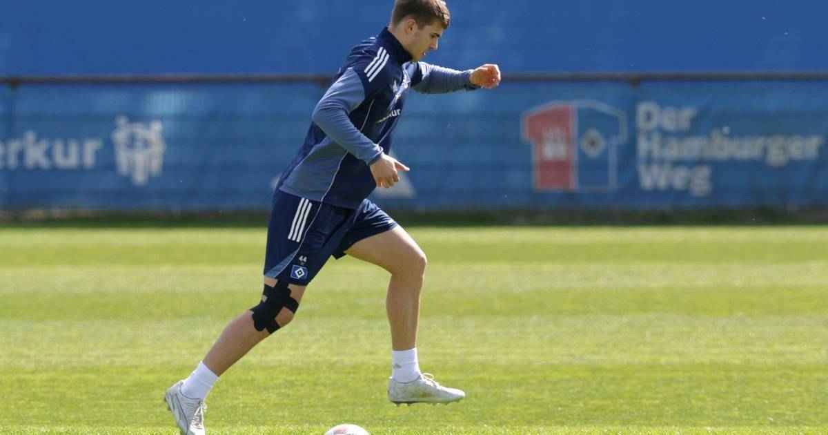 Vuskovic-comeback: hsv vor entscheidender endphase?