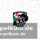 Die bedeutung von markus pink für den wac